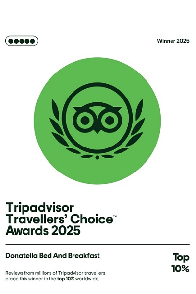 trip2025